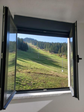 Apartman Green - Ravna planina